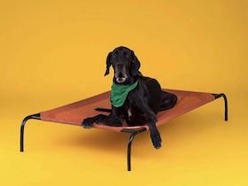 Coolaroo Hundebett - 
kleine groß : Photo 4