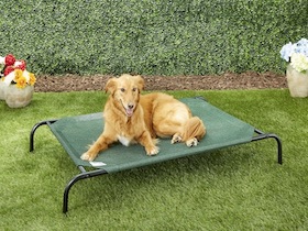 Coolaroo Hundebett - 
kleine groß : Photo 7