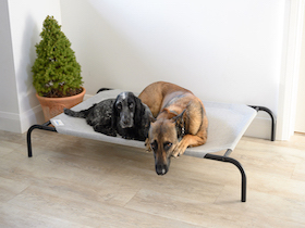Coolaroo Hundebett - 
kleine groß : Photo 8