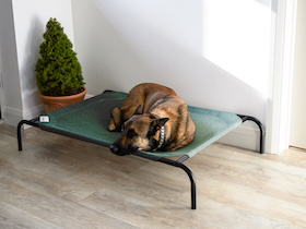 Coolaroo Hundebett - 
kleine groß : Photo 9