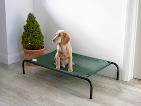 Coolaroo Hundebett - 
kleine Mittel : Photo 10