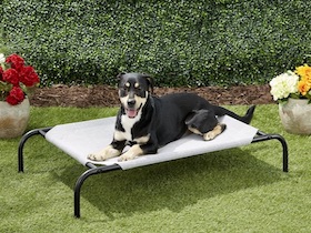 Coolaroo Hundebett - 
kleine Mittel : Photo 6