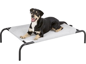 Coolaroo Hundebett - 
kleine Mittel : Photo 7