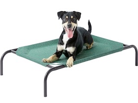 Coolaroo Hundebett - 
kleine Mittel : Photo 8