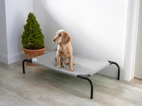 Coolaroo Hundebett - 
kleine Mittel : Photo 9