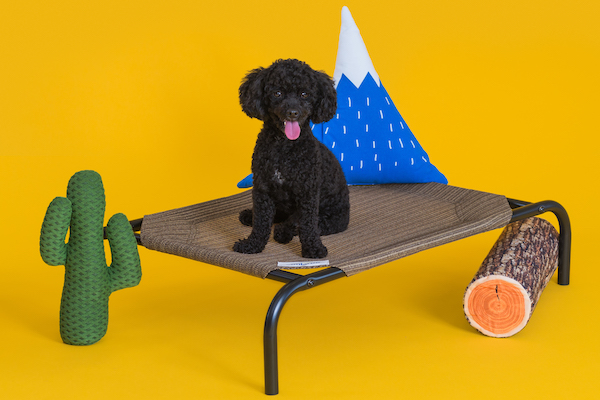 erhöhtes haustierbett klein Masse 55cm x 90cm - Ideal für kleine Hunde