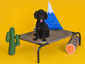 Coolaroo Hundebett - 
kleine Größe : Photo 1