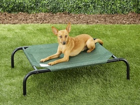 Coolaroo Hundebetten - 
kleine Größe : Photo 5