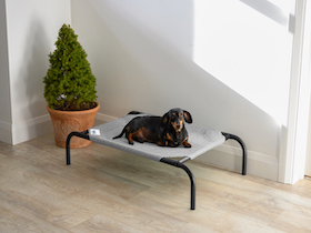 Coolaroo Hundebett - 
kleine Größe : Photo 6