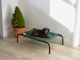 Coolaroo Hundebett - 
kleine Größe : Photo 7