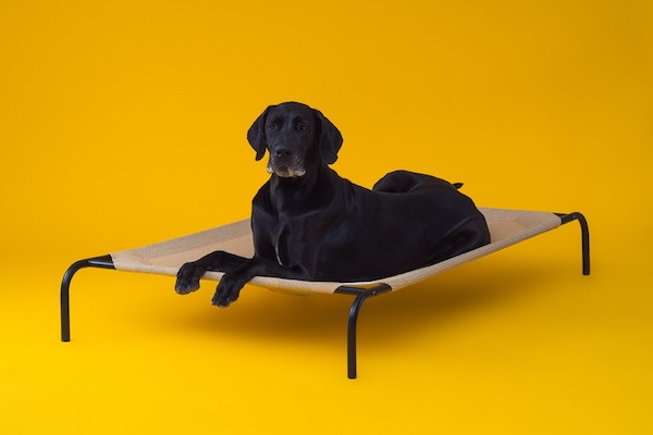 erhöhtes haustierbett XL - Masse 96,5cm x 152cm - Ideal für sehr grosse Hunde (CPETBEDXL)