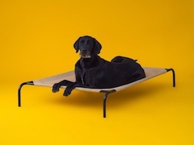Erhöhte Coolaroo Hundeliege XL für sehr grosse Hunde