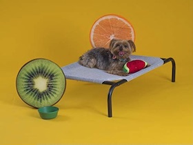 Erhöhtes Coolaroo Hundebett - 2