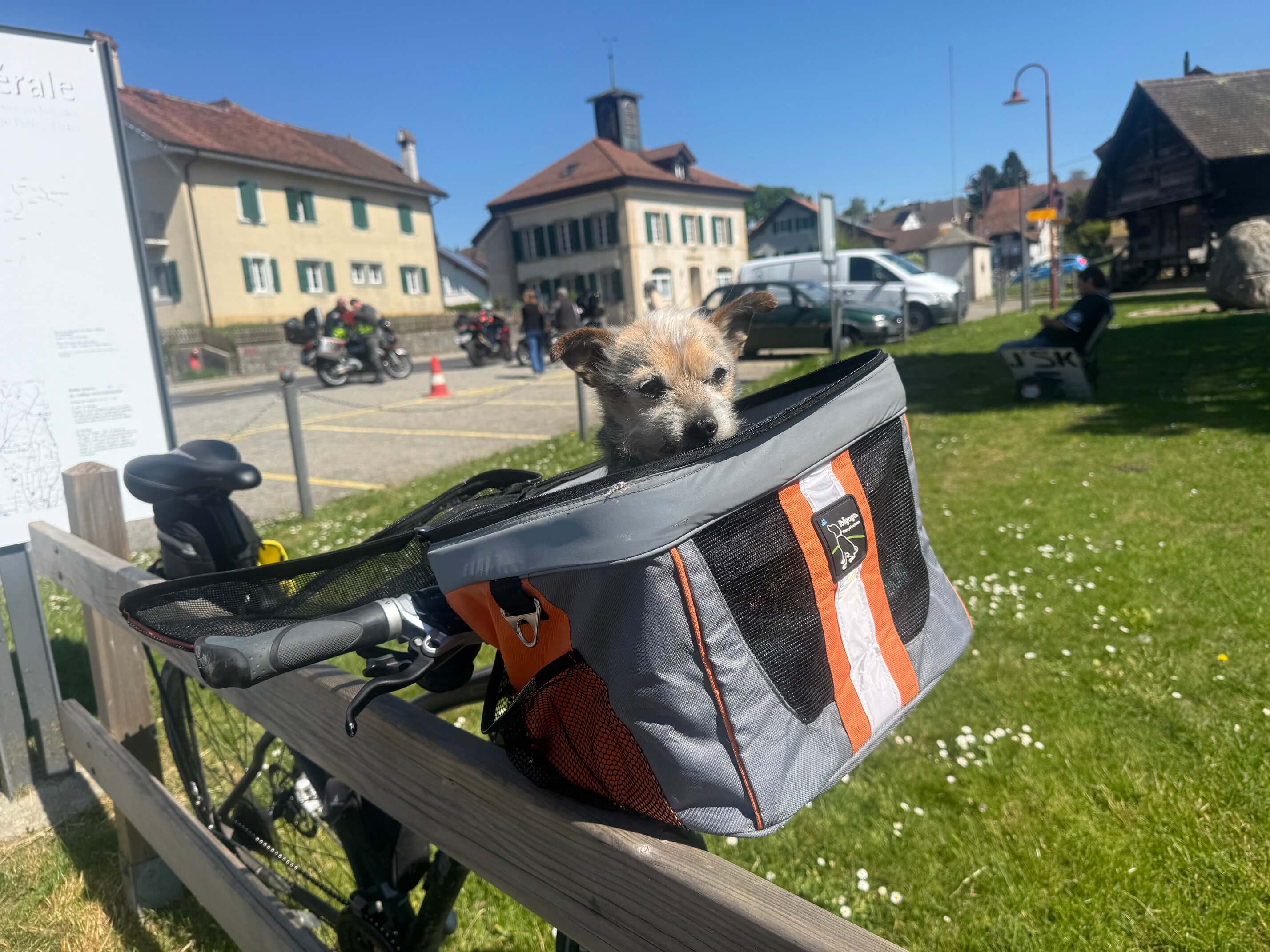 Marmite begleitet uns auf einer Fahrradtour